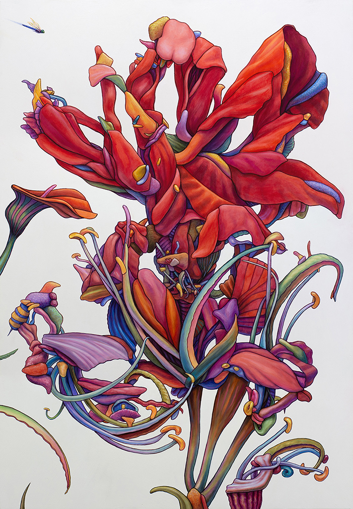 Canna Lily Interpretation